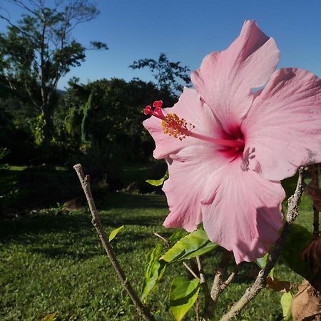 La Joupa Case Anthurium サント・ローズ エクステリア 写真