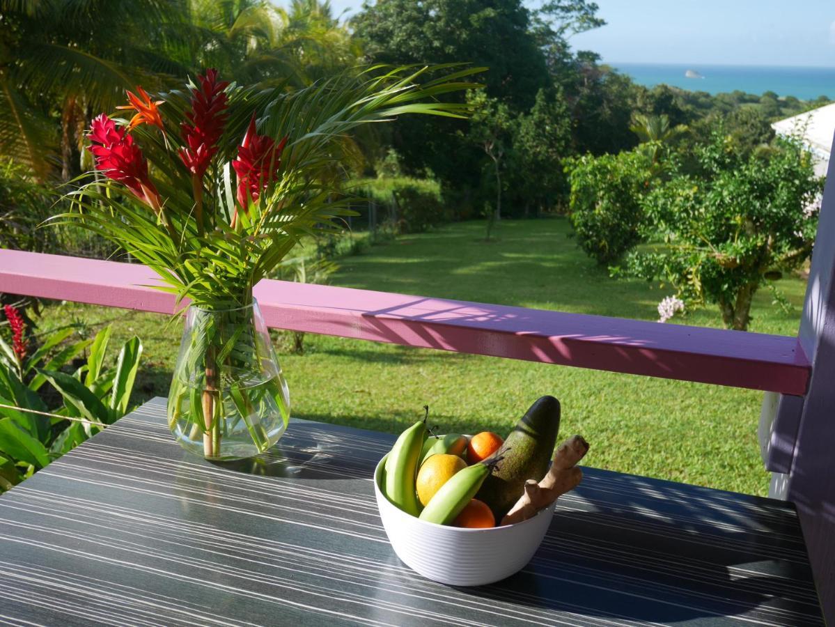 La Joupa Case Anthurium サント・ローズ エクステリア 写真